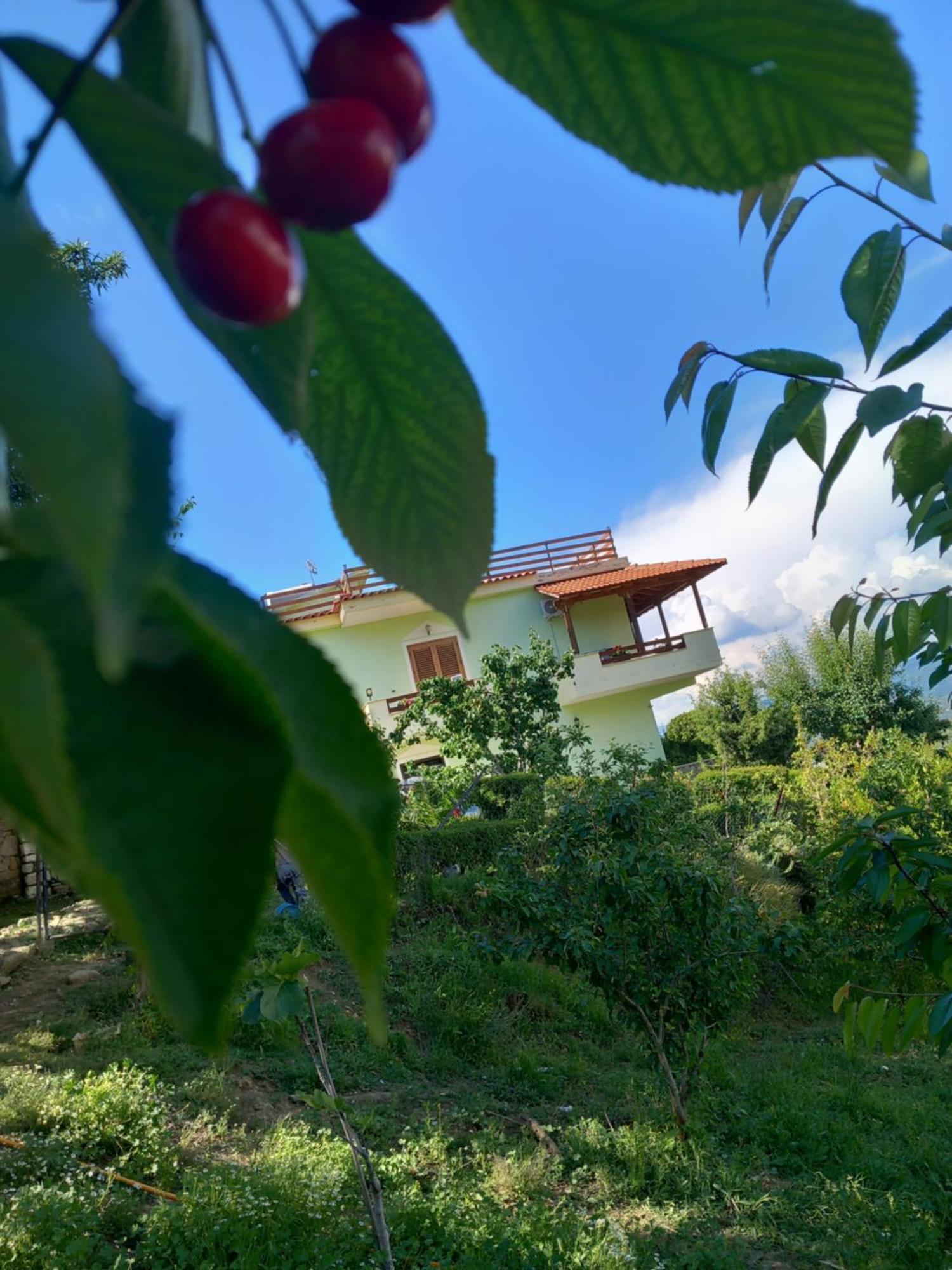 Vila Dean 베라트 외부 사진